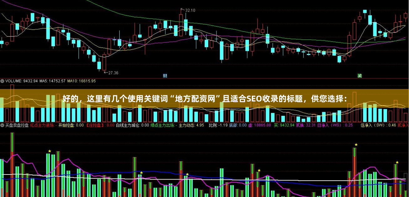 好的，这里有几个使用关键词“地方配资网”且适合SEO收录的标题，供您选择：